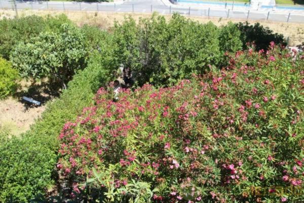 Boa Vivenda Villa Carcavelos  Ngoại thất bức ảnh